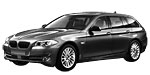 BMW F11 C20D1 Fault Code